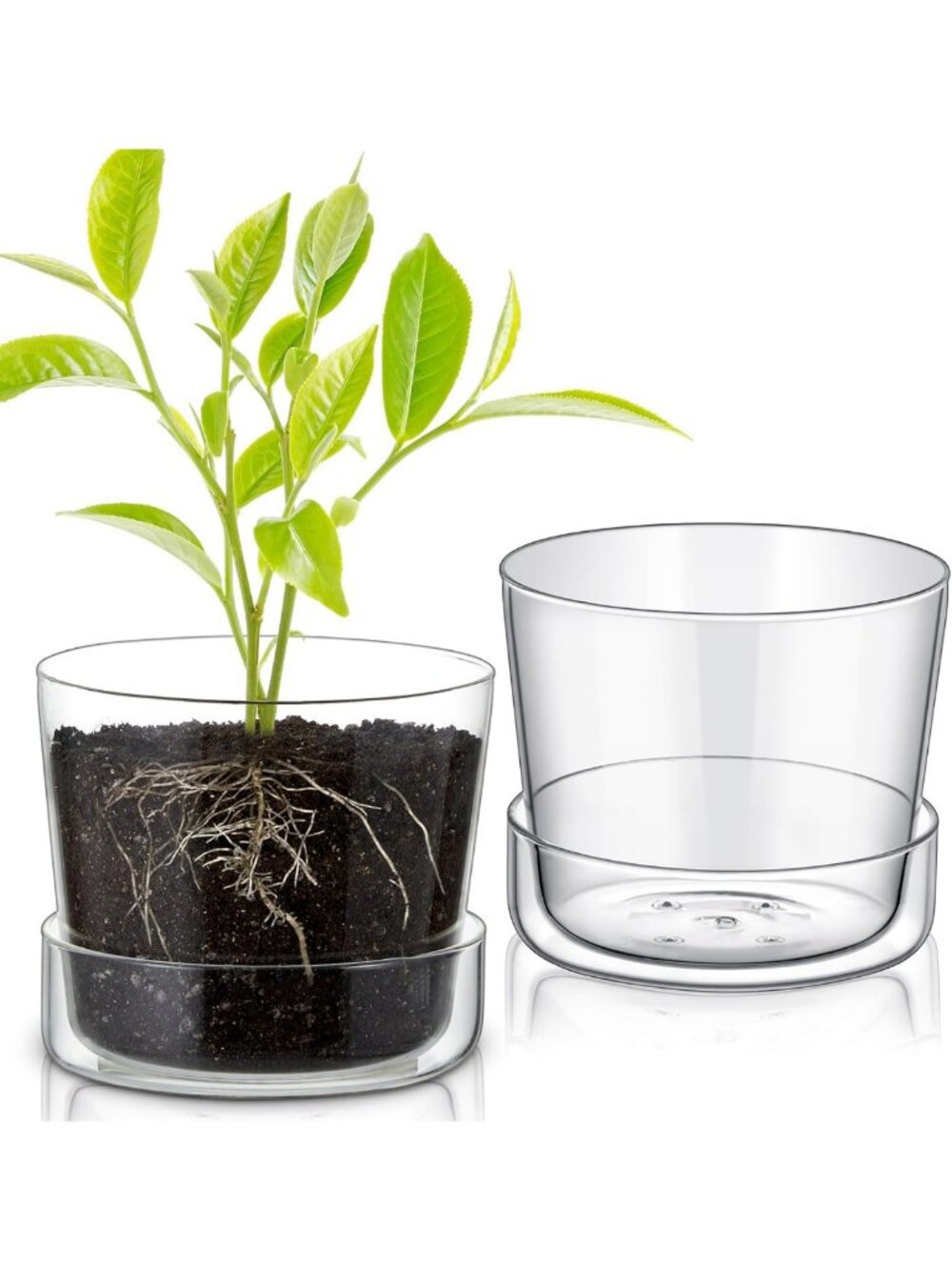 Set of 2 Modern 6-Inch Clear Glass Planters with Drainage & Saucer for